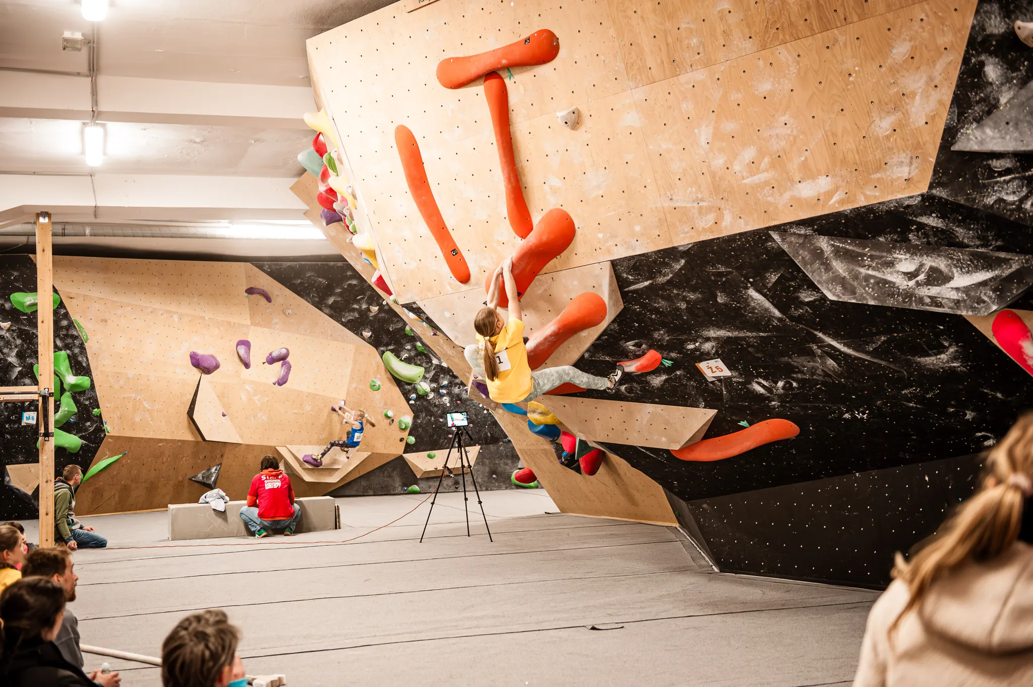 Mobirise Website Builder