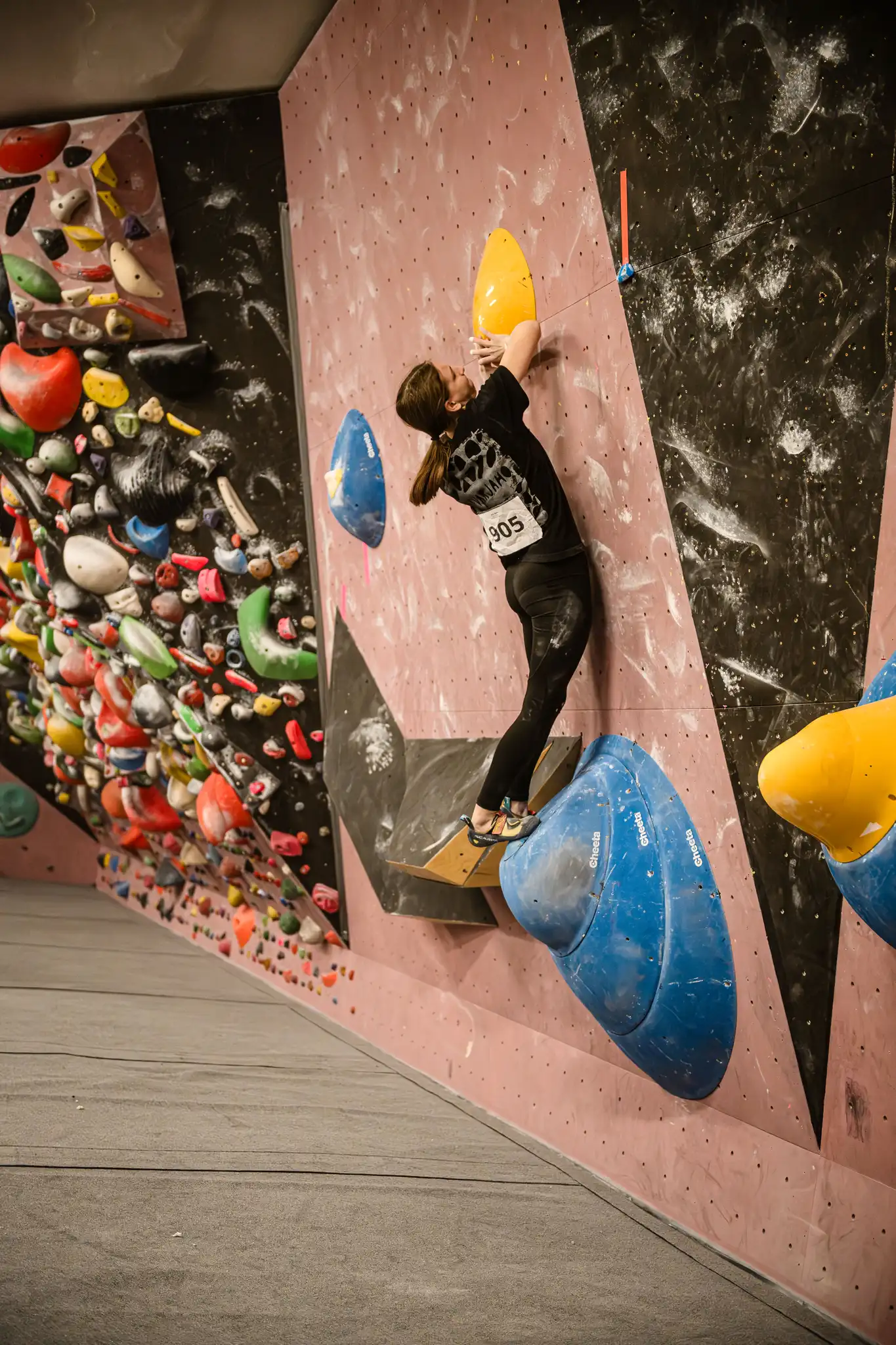 Mobirise Website Builder