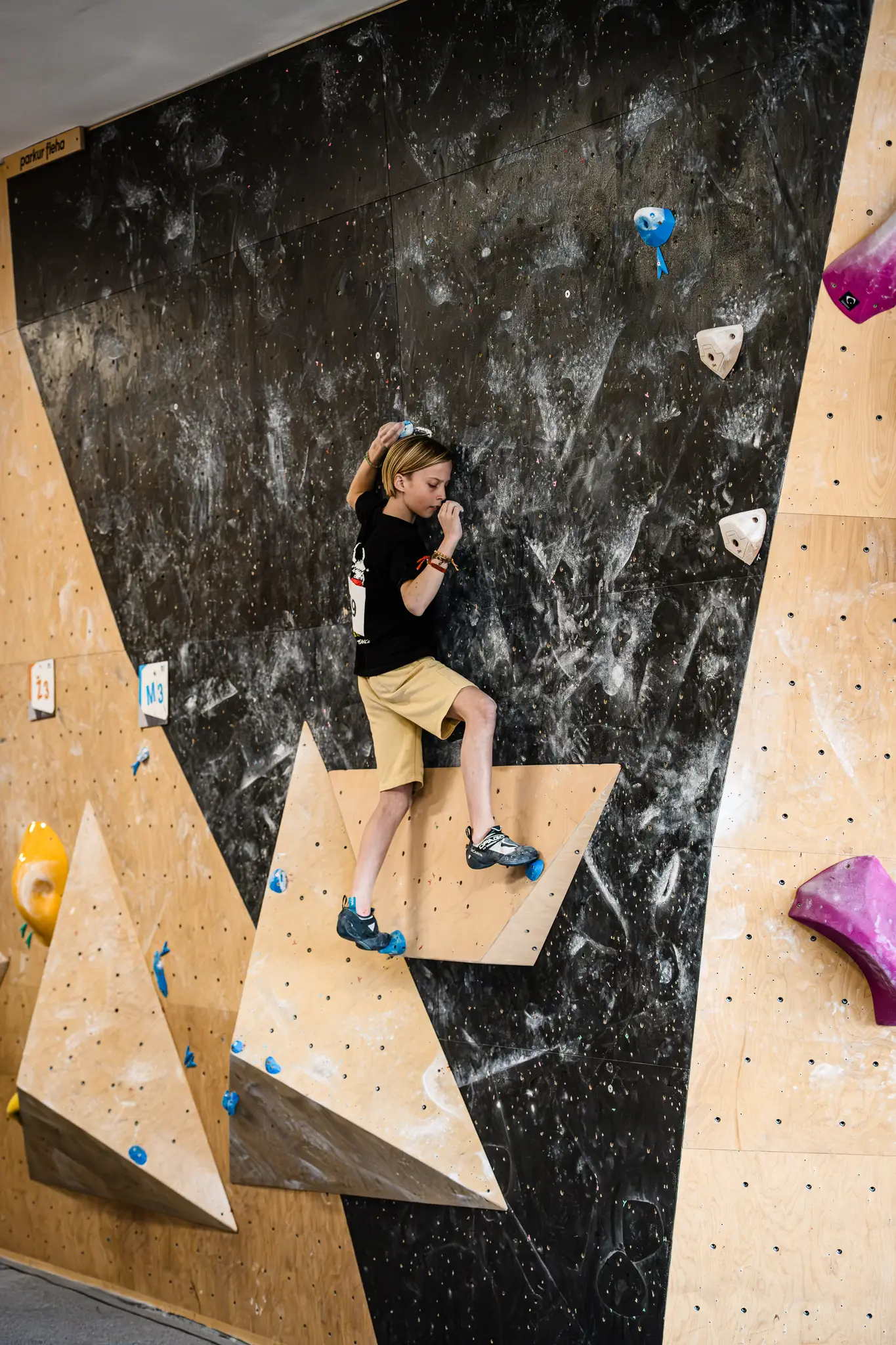 Mobirise Website Builder