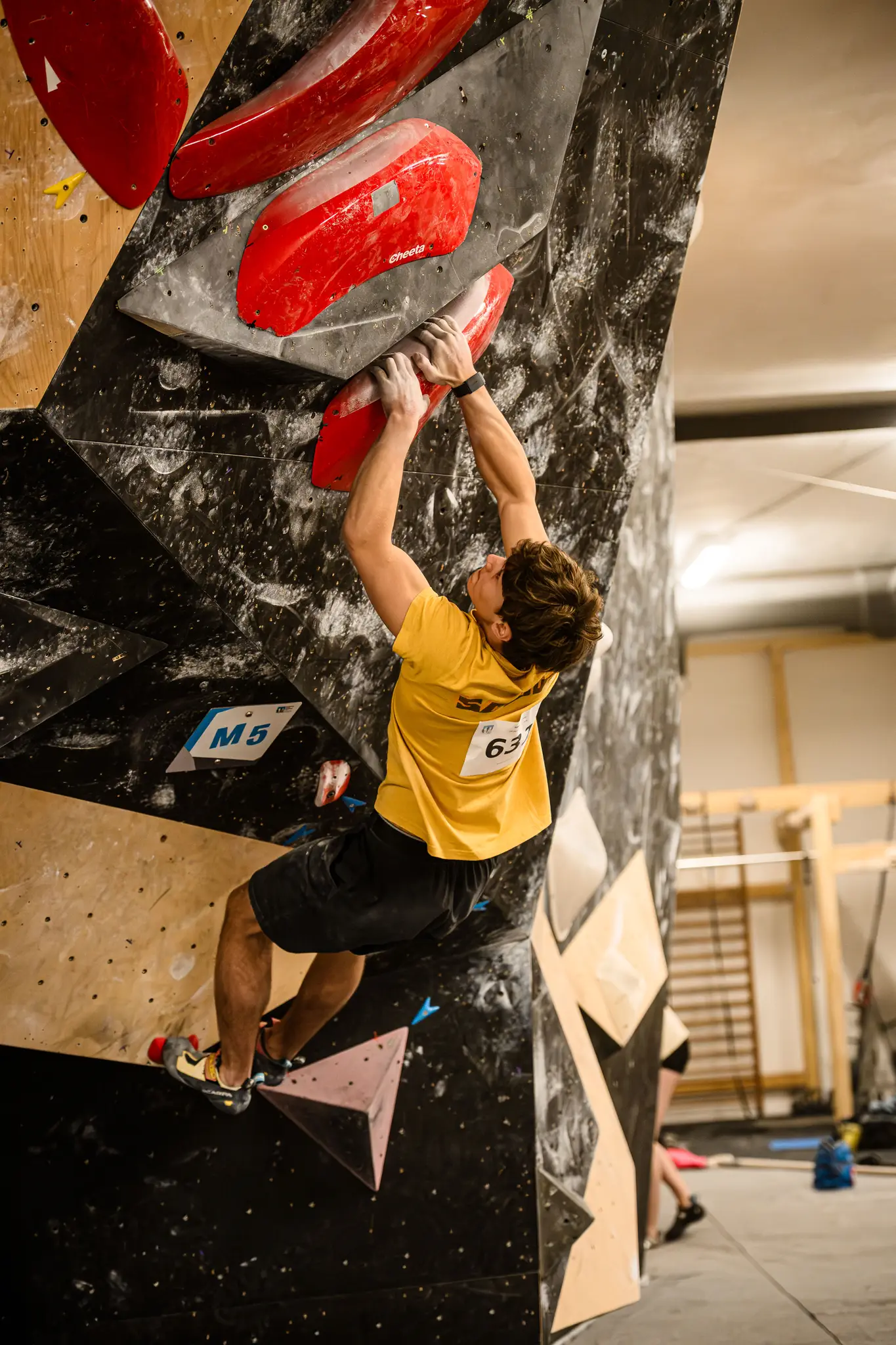 Mobirise Website Builder