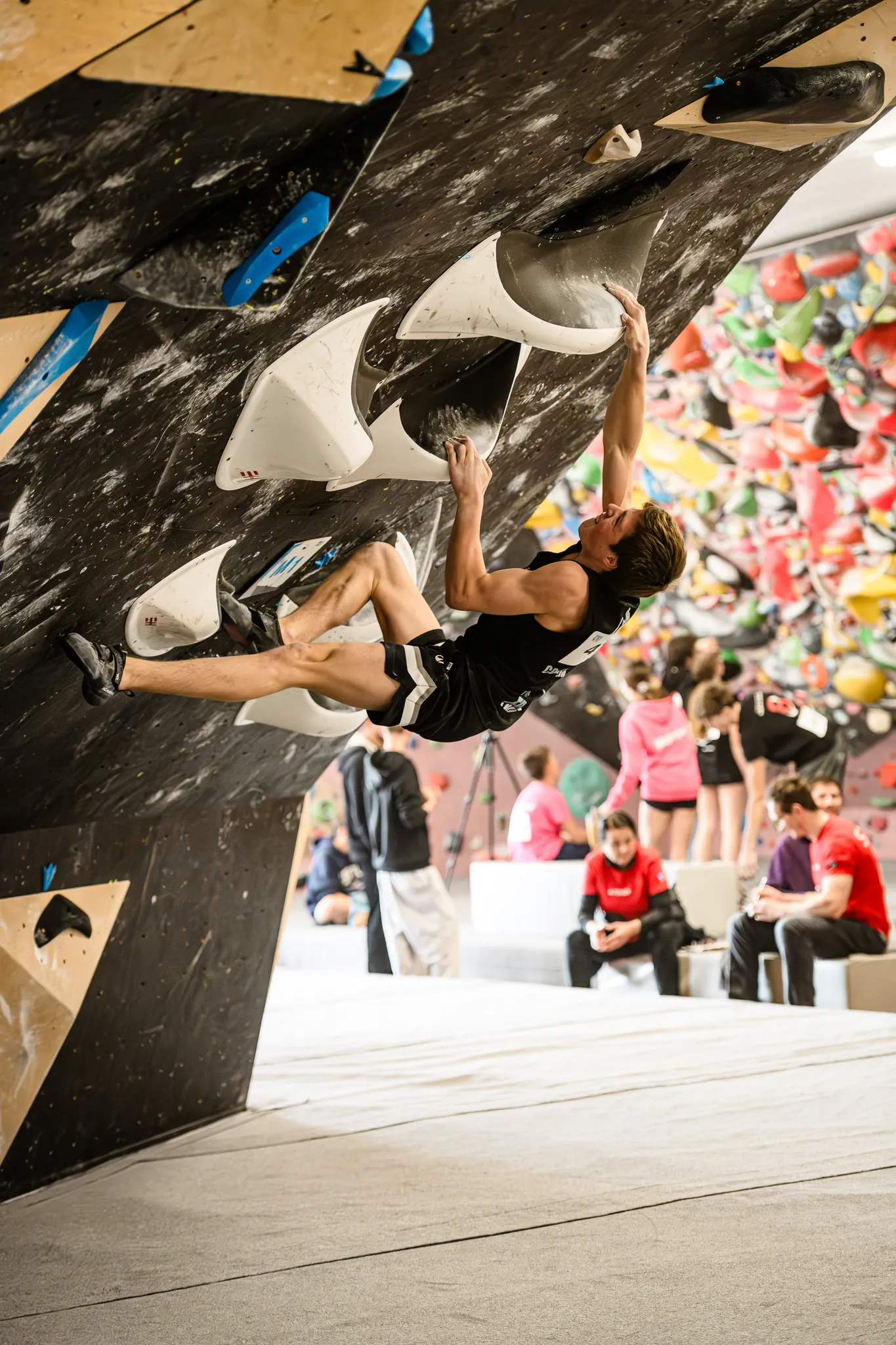 Mobirise Website Builder