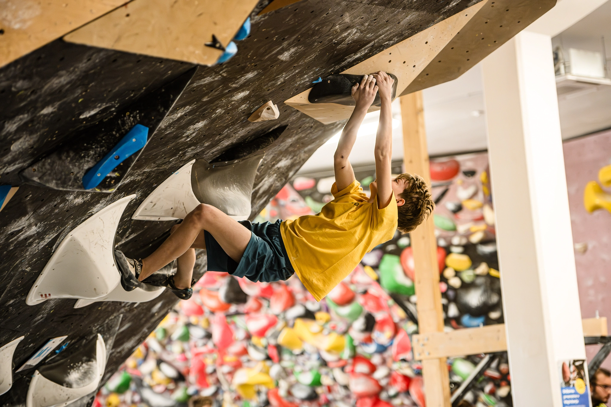 Mobirise Website Builder