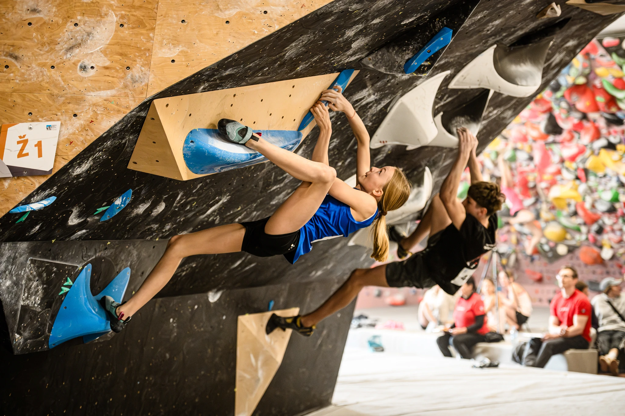 Mobirise Website Builder