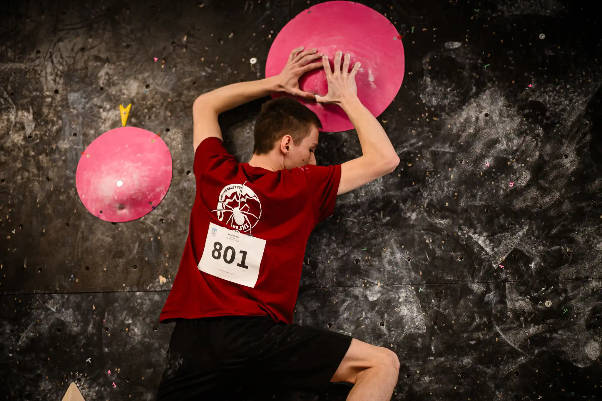 Mobirise Website Builder