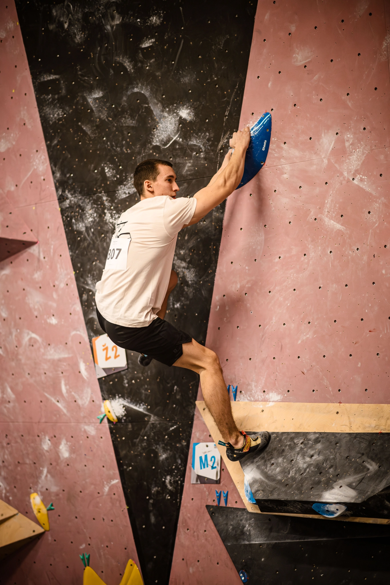 Mobirise Website Builder